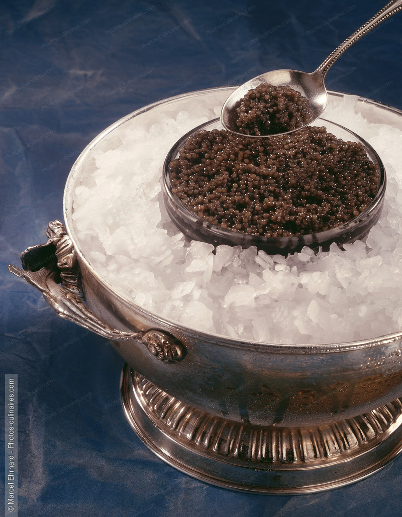 Caviar, - photo r&eacute;f&eacute;rence PO129.jpg