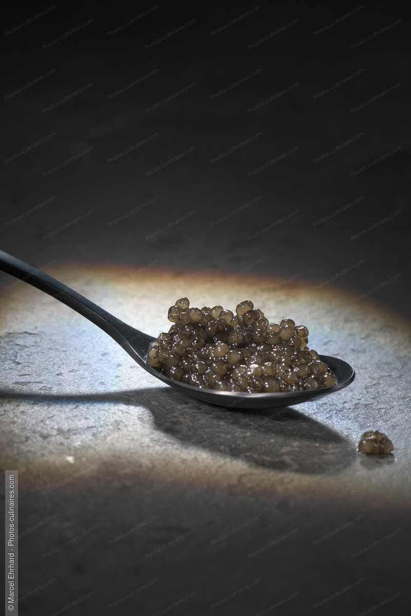 Caviar - photo r&eacute;f&eacute;rence PO648N.jpg