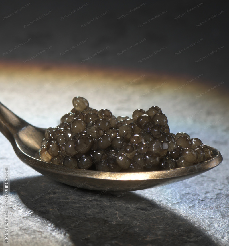 Caviar - photo r&eacute;f&eacute;rence PO649.jpg