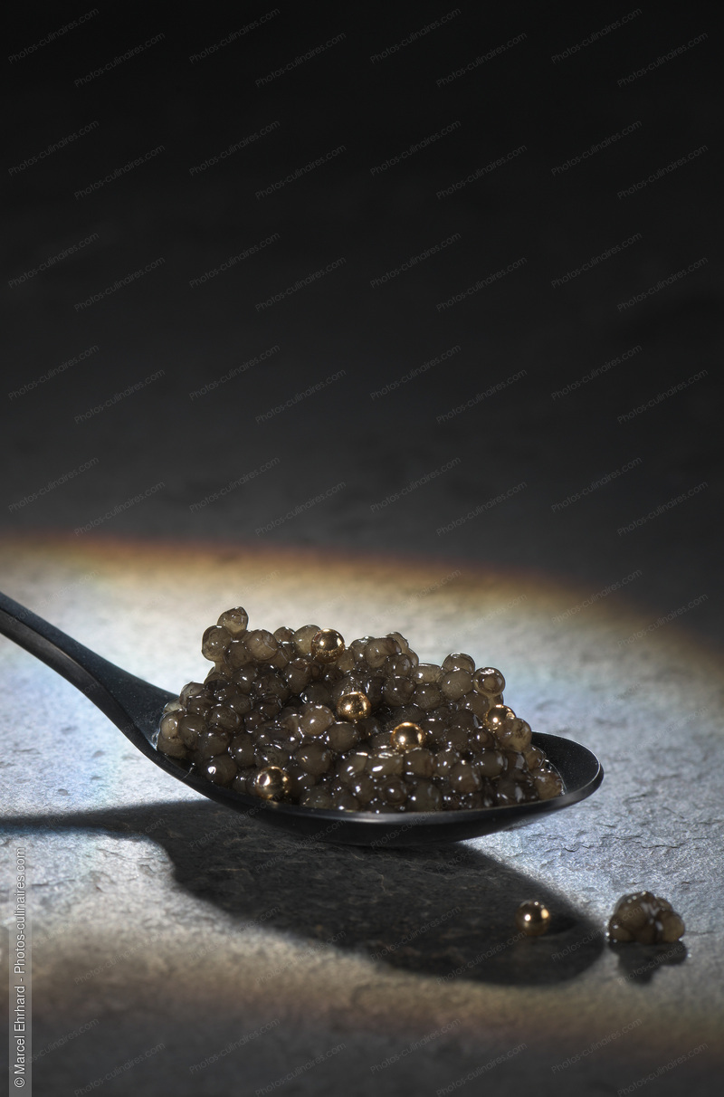 Caviar - photo r&eacute;f&eacute;rence PO651.jpg