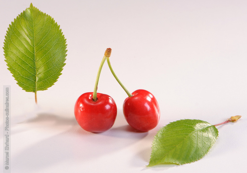 Cerises avec queues et feuilles - photo r&eacute;f&eacute;rence FRU192N.jpg