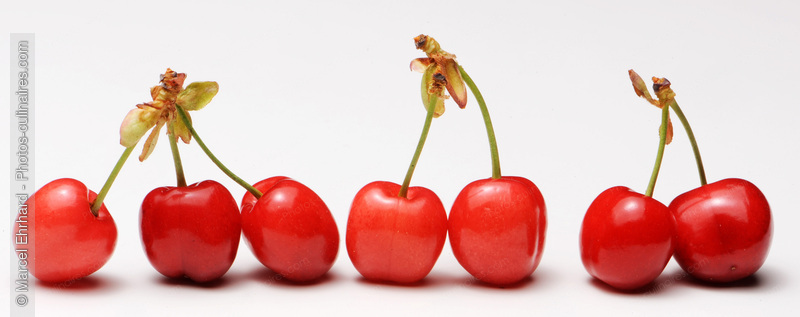 Cerises - photo r&eacute;f&eacute;rence FRU187N.jpg