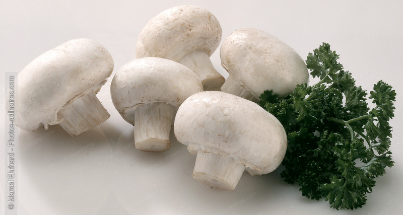 Champignons de Paris et persil - photo r&eacute;f&eacute;rence LE58.jpg