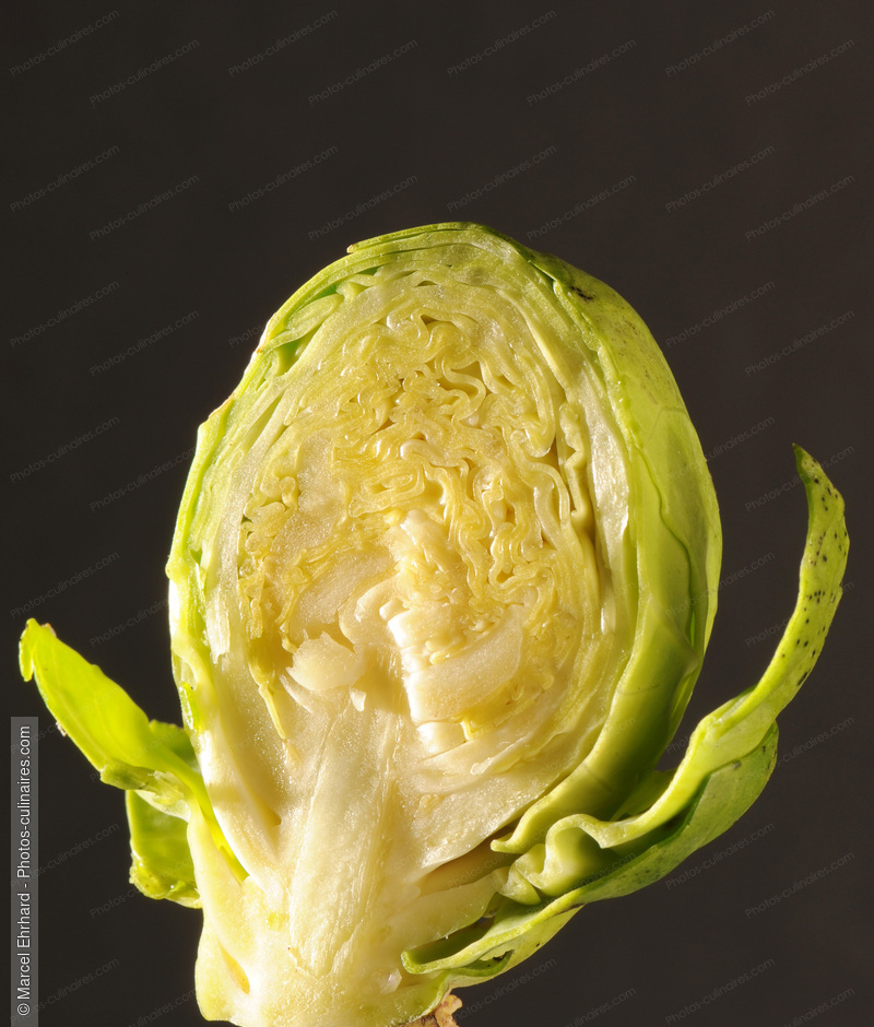 Chou de Bruxelles coup&eacute; - photo r&eacute;f&eacute;rence LE576N.jpg