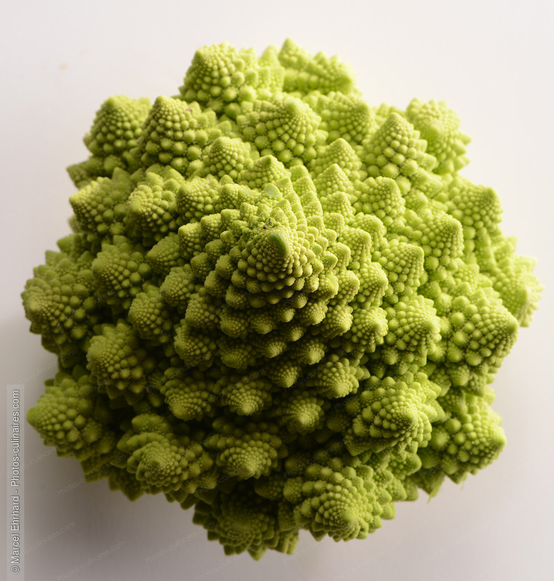 Chou romanesco - photo r&eacute;f&eacute;rence LE594N.jpg