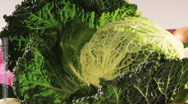 Chou vert - photo r&eacute;f&eacute;rence LE508N.jpg