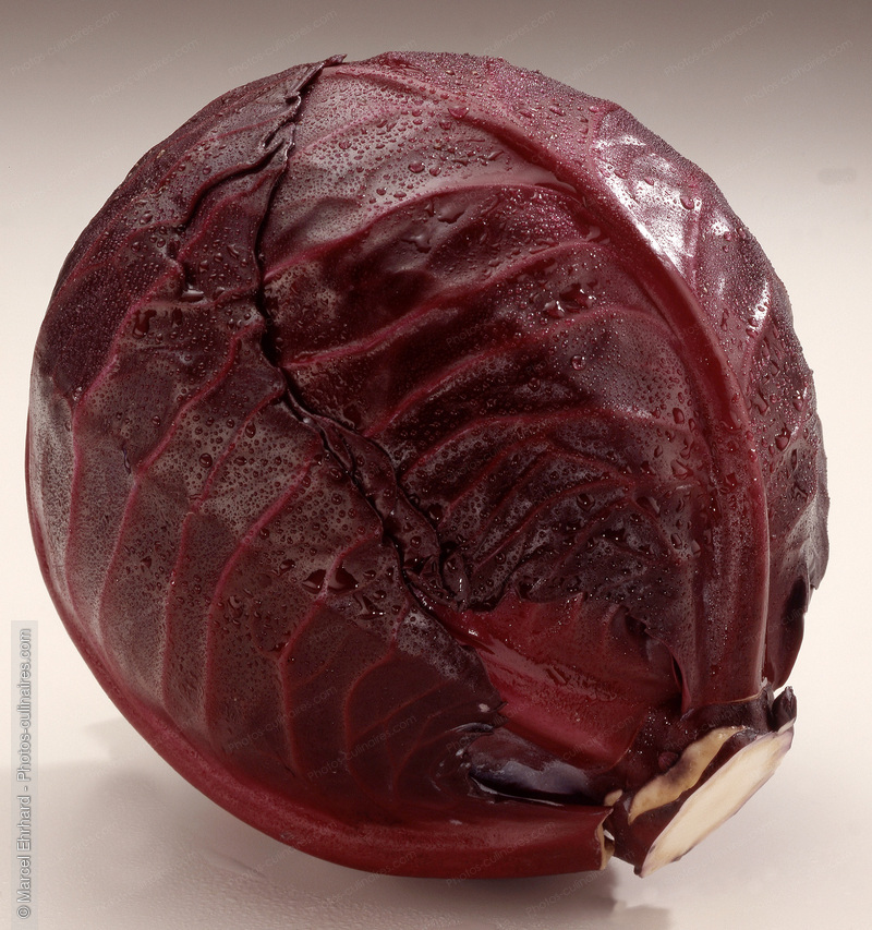 Choux rouge - photo r&eacute;f&eacute;rence LE66.jpg