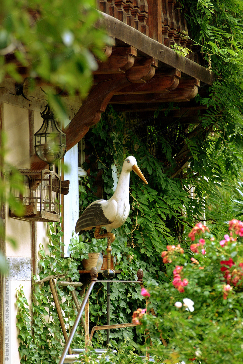 Cigogne dans un jardin - photo r&eacute;f&eacute;rence NM15N.jpg
