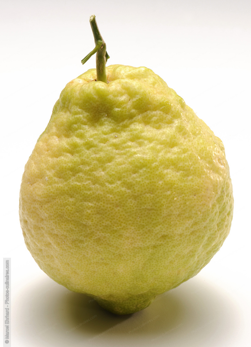 Citron Cedrat - photo r&eacute;f&eacute;rence FRU312N.jpg