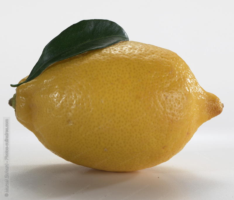 Citron jaune avec feuille - photo r&eacute;f&eacute;rence FRU386N.jpg