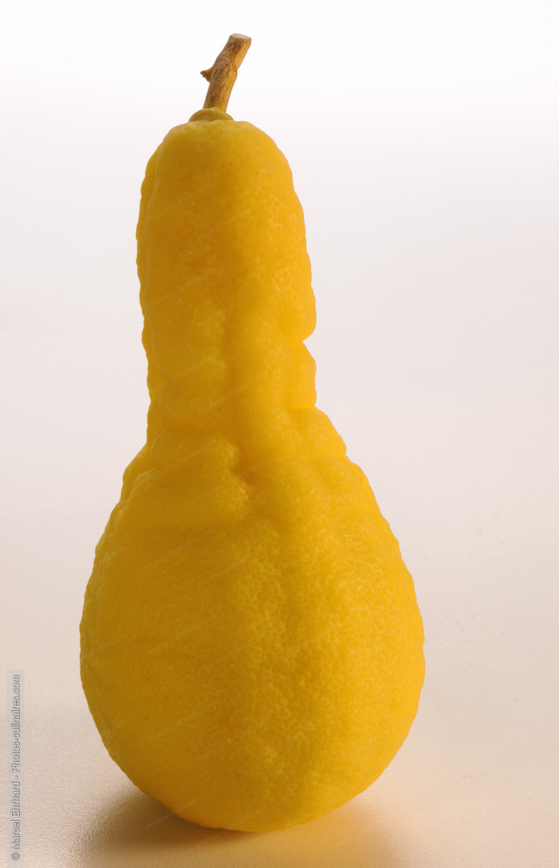 Citron poire - photo r&eacute;f&eacute;rence FRU319N.jpg