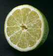 Citron vert tranché