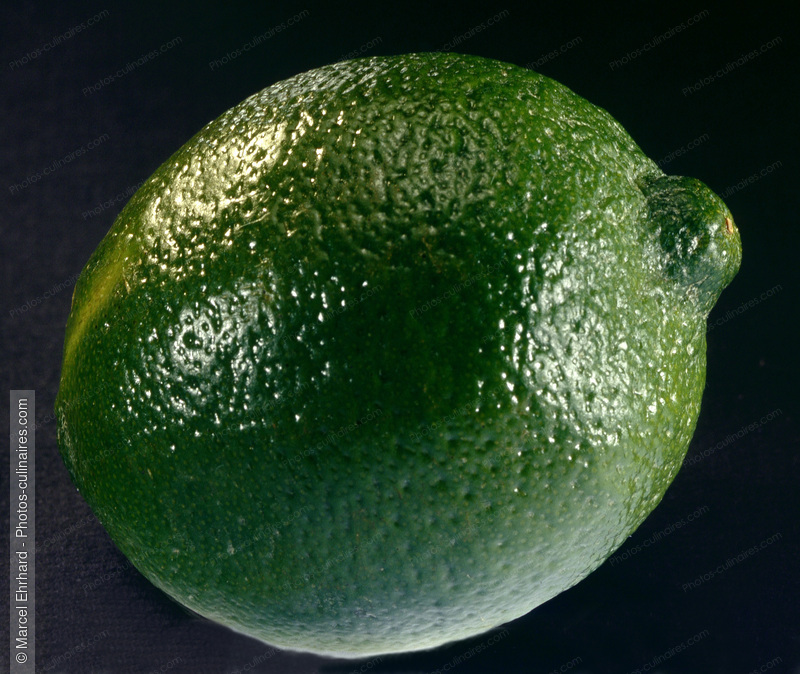 Citron vert - photo r&eacute;f&eacute;rence FRU117.jpg
