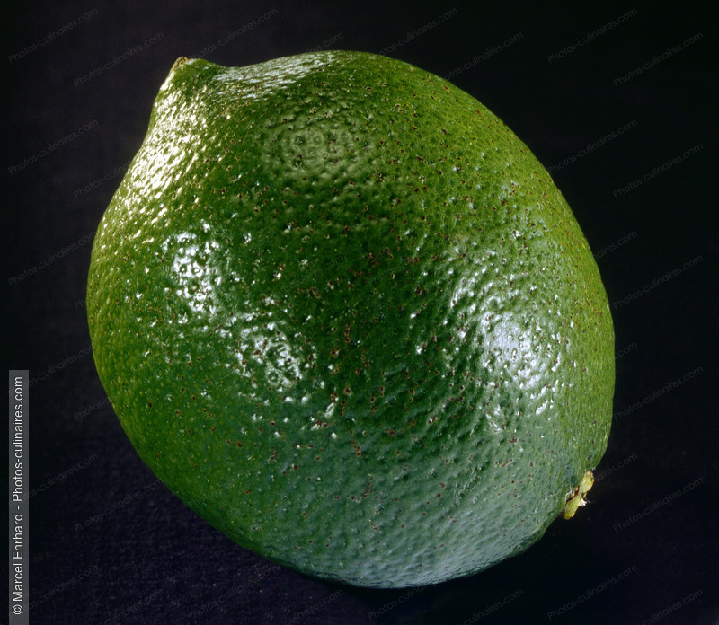 Citron vert - photo référence FRU118.jpg
