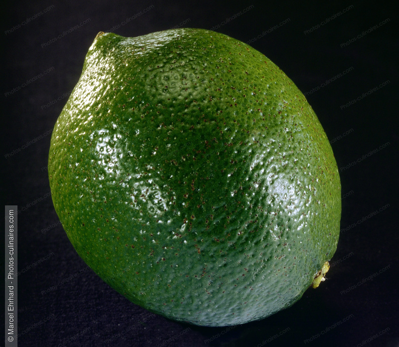 Citron vert - photo r&eacute;f&eacute;rence FRU118.jpg