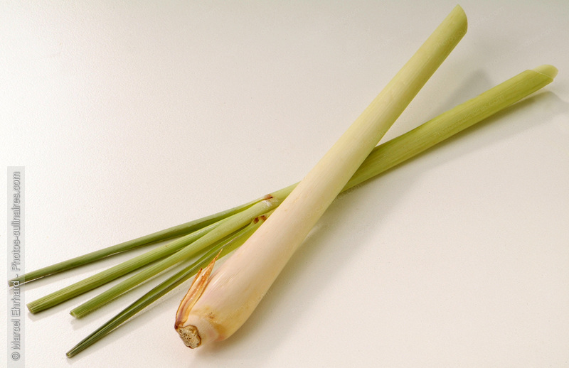 Citronnelle - photo r&eacute;f&eacute;rence LE264N.jpg