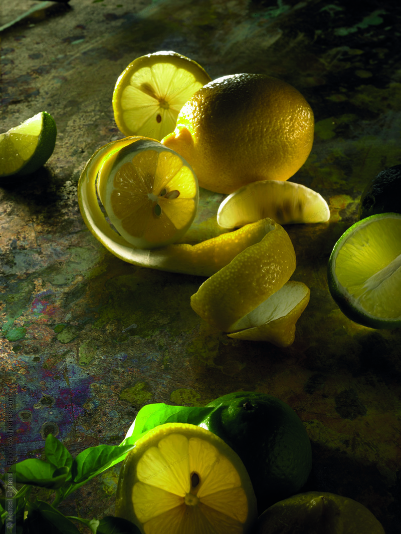 Citrons jaunes - photo référence FRU339.jpg