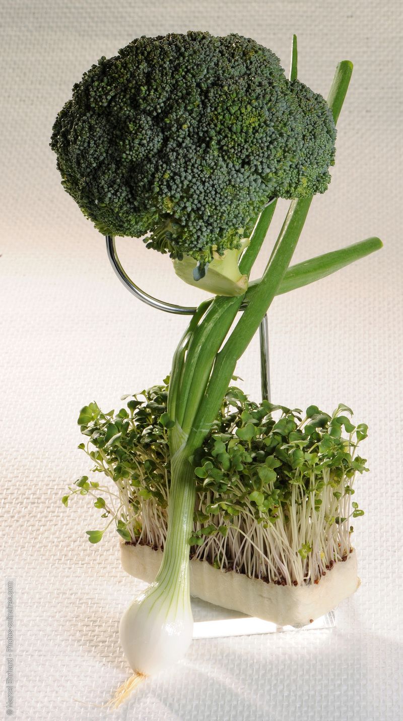 Composition de brocoli, oignon de mai et pousses de salade - photo référence LE497N.jpg