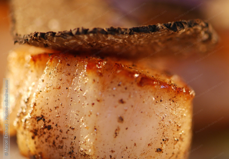 Coquille Saint Jacques et truffe - photo r&eacute;f&eacute;rence PO226N.jpg