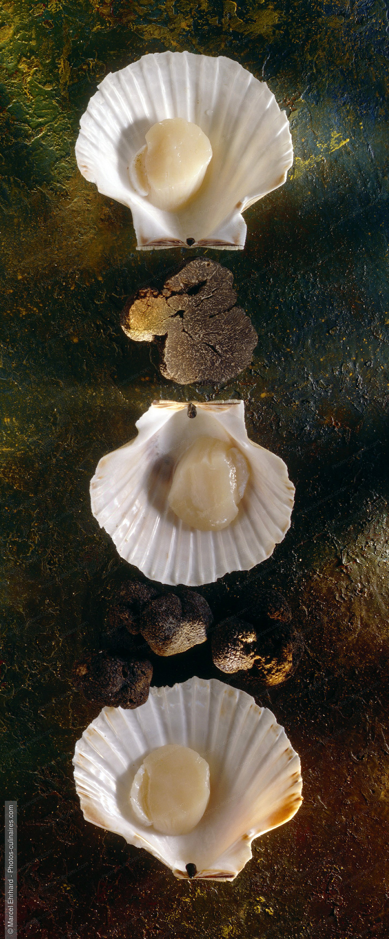 Coquille saint Jacques et truffes - photo r&eacute;f&eacute;rence PO195.jpg