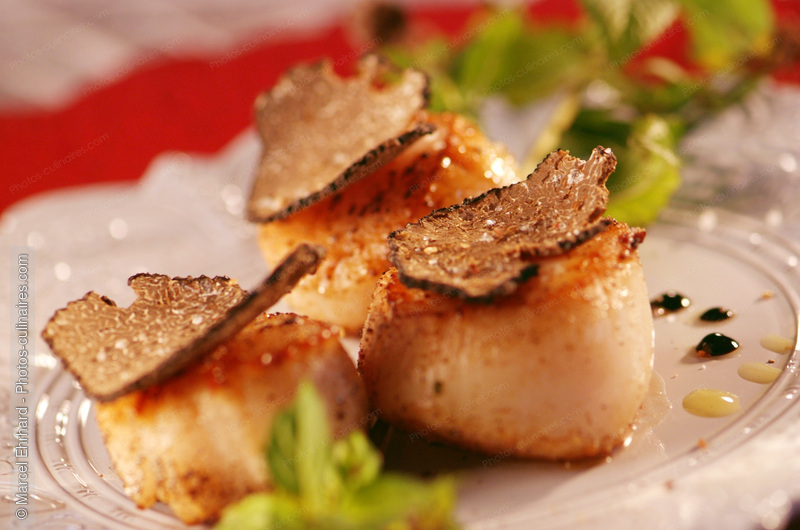 Coquilles Saint Jacques aux truffes - photo r&eacute;f&eacute;rence PO246N.jpg