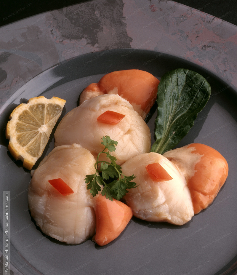 Coquilles saint Jacques crues - photo r&eacute;f&eacute;rence PO115.jpg