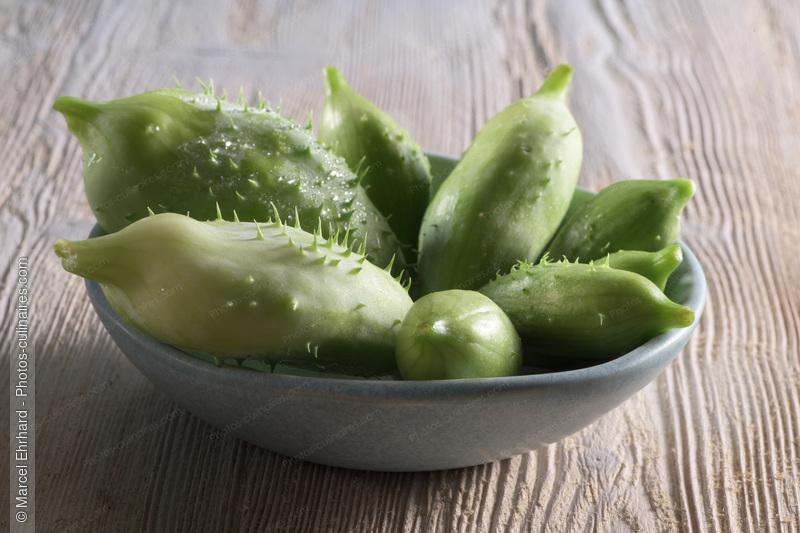 Cornichon - photo r&eacute;f&eacute;rence LE667N.jpg