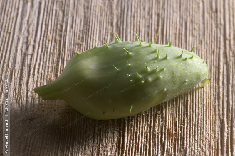 Cornichon - photo r&eacute;f&eacute;rence LE669N.jpg