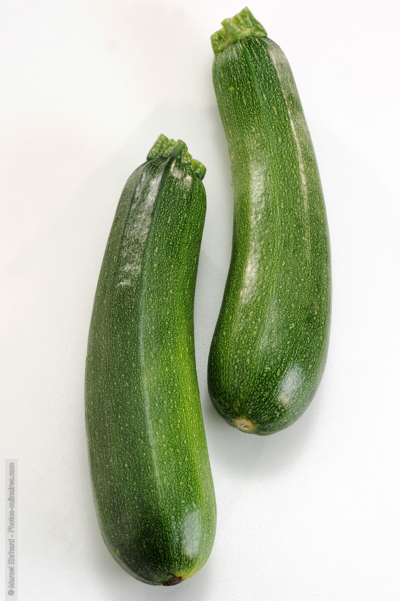 Courgette - photo r&eacute;f&eacute;rence LE357N.jpg
