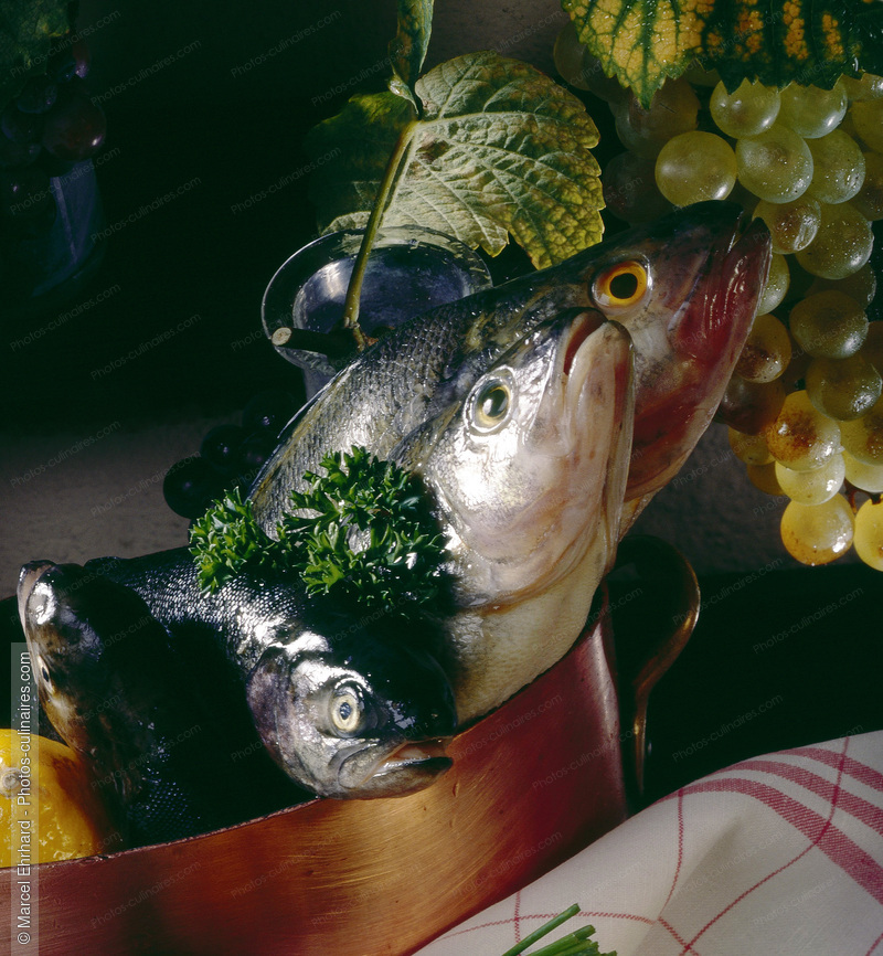 Court bouillon de poissons - photo r&eacute;f&eacute;rence PO184.jpg