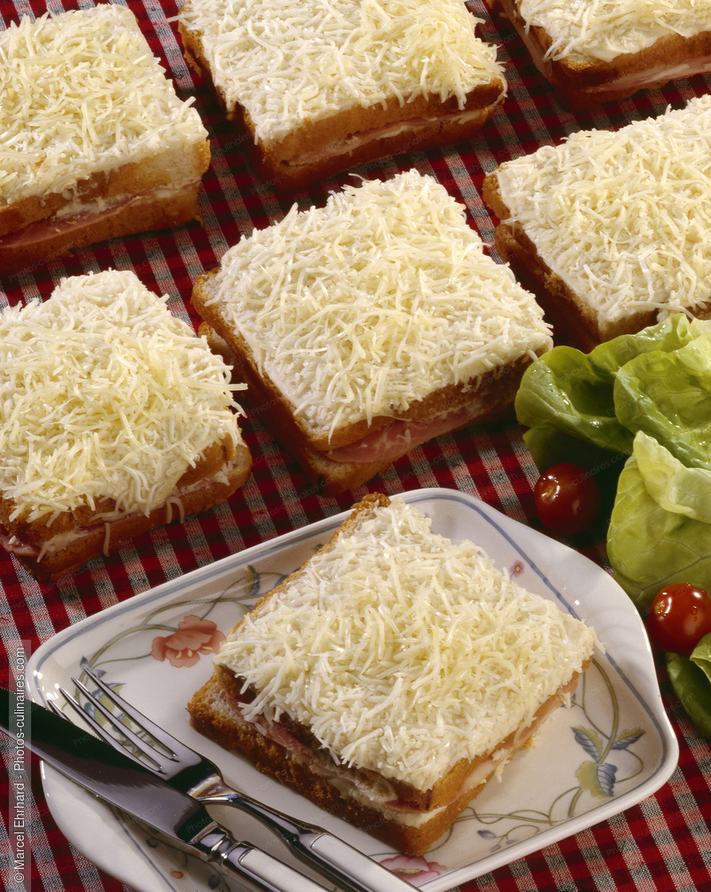 Croque monsieur - photo r&eacute;f&eacute;rence TT70.jpg