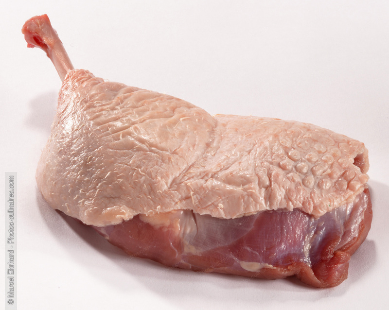 Cuisse de canard cru - photo r&eacute;f&eacute;rence VC307N.jpg