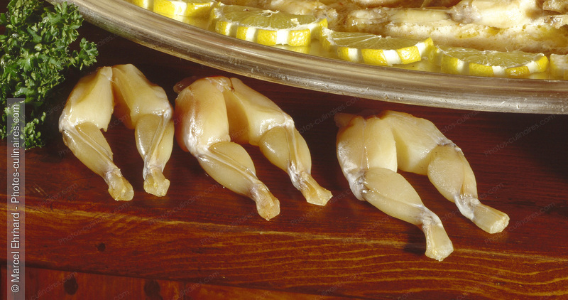 Cuisses de grenouilles crues - photo r&eacute;f&eacute;rence VC211.jpg