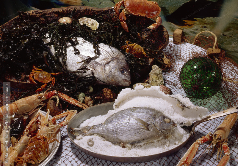 Daurade en cro&ucirc;te de sel - photo r&eacute;f&eacute;rence PO299.jpg