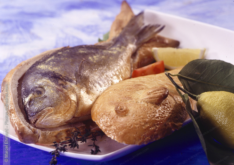 Dorade en cro&ucirc;te - photo r&eacute;f&eacute;rence PO495.jpg