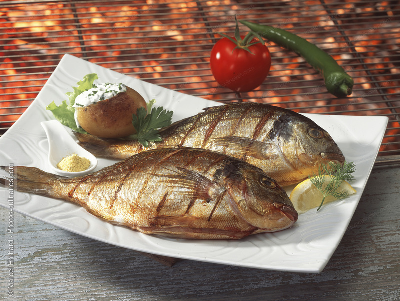 Dorade grill&eacute;e - photo r&eacute;f&eacute;rence PO647N.jpg