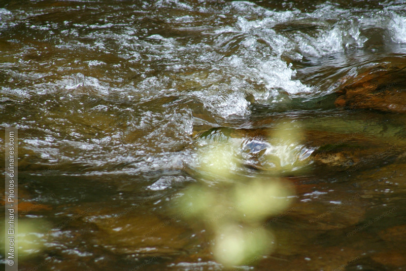 Eau de rivi&egrave;re - photo r&eacute;f&eacute;rence BO225N.jpg