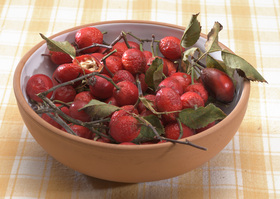 Eglantine