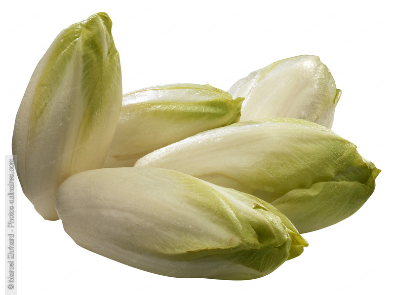 Endives - photo r&eacute;f&eacute;rence LE36.jpg