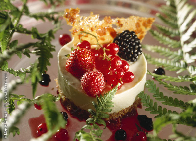 Entremet fromage blanc aux fruits rouges - photo r&eacute;f&eacute;rence DE613.jpg