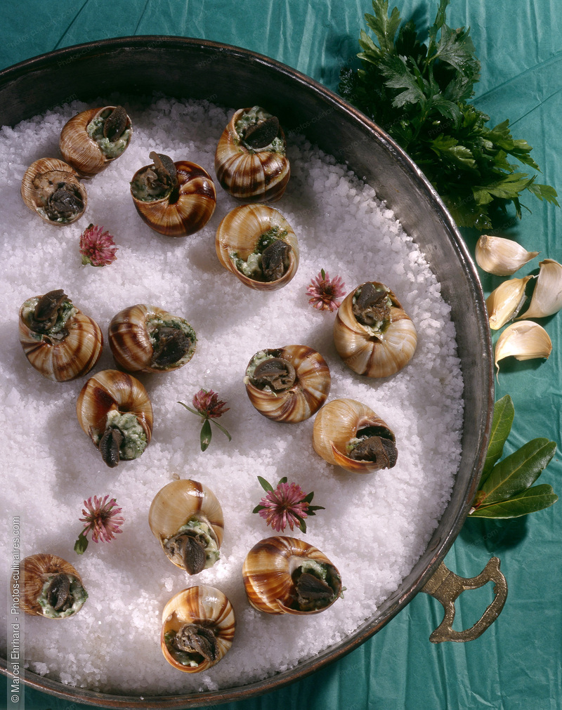 Escargot &agrave; l'alsacienne - photo r&eacute;f&eacute;rence ES23.jpg