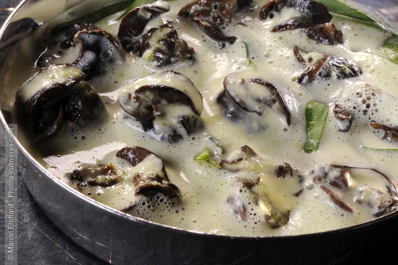 Escargots a la cr&egrave;me - photo r&eacute;f&eacute;rence ES30N.jpg