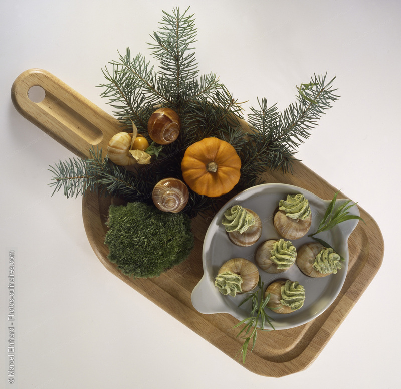 Escargots sur planchette - photo r&eacute;f&eacute;rence ES21.jpg