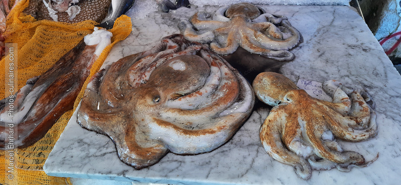 Etal de poisson, - photo r&eacute;f&eacute;rence PO699N.jpg