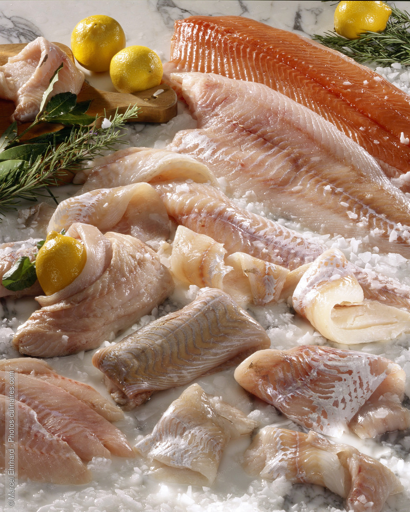 Etal de poissonier - photo r&eacute;f&eacute;rence PO484.jpg