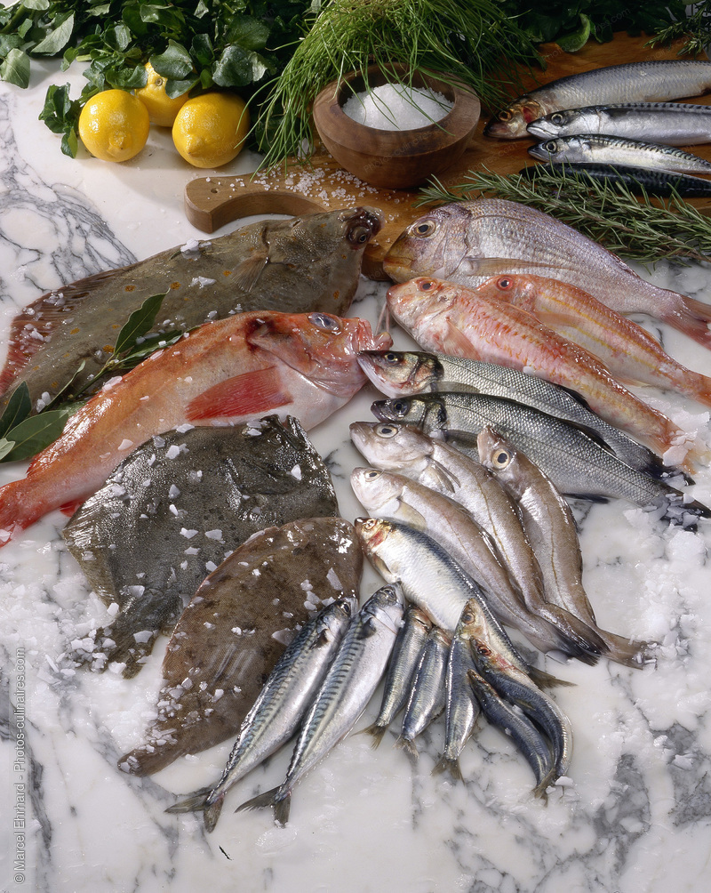 Etal de poissonier - photo r&eacute;f&eacute;rence PO494.jpg