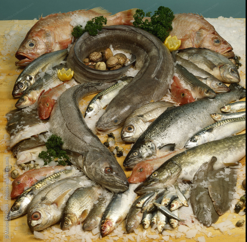 Etal de poissonnier - photo r&eacute;f&eacute;rence PO405.jpg