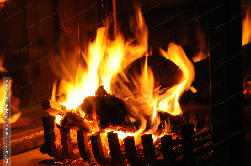 Feu de chemin&eacute;e - photo r&eacute;f&eacute;rence NM114N.jpg
