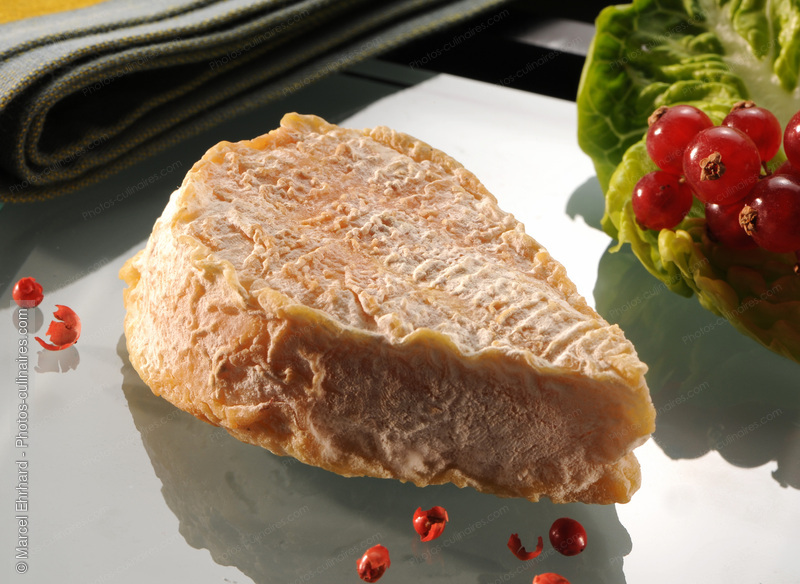 Feuille du Limousin - photo r&eacute;f&eacute;rence FR205N.jpg