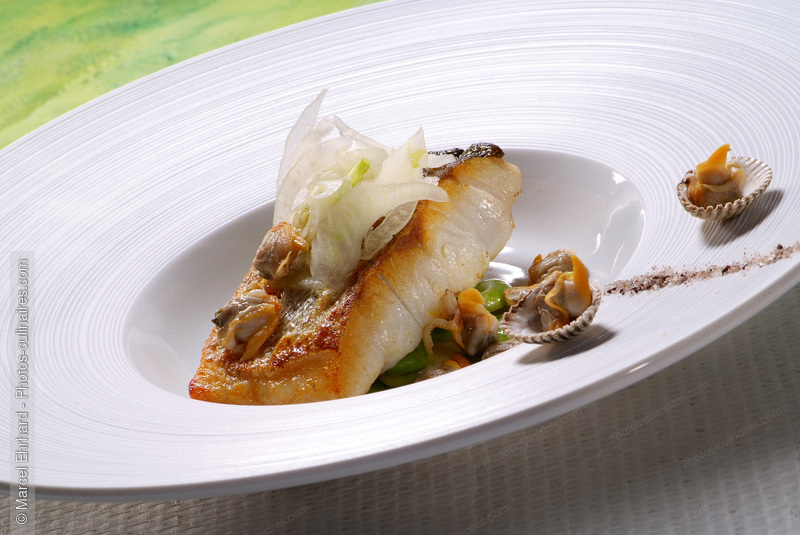 Filet de poisson aux coques - photo r&eacute;f&eacute;rence PO283N.jpg
